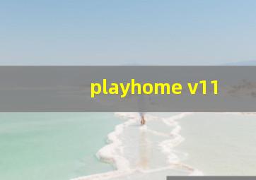 playhome v11